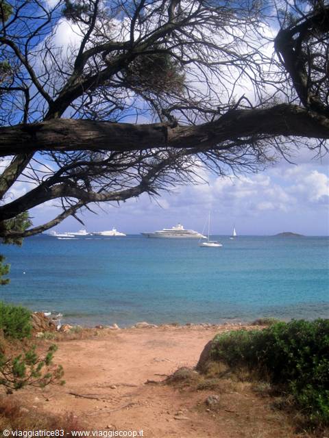 Pine branches frame yachts and sailboats on turquoise water from a red sandy cove, Costa Smeralda