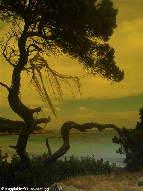 Cala Granu
