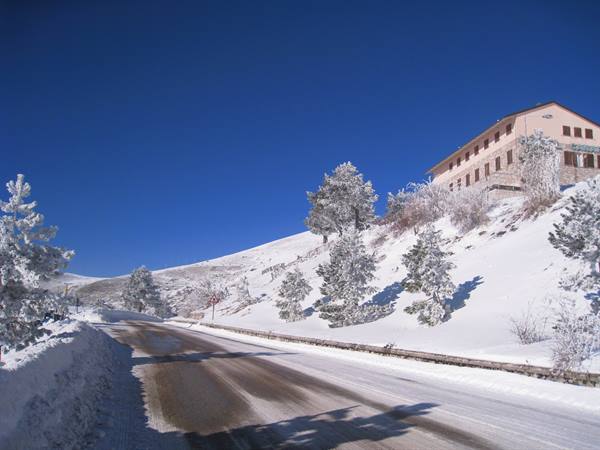 Snowy road below a stone hotel, frost-covered pine trees