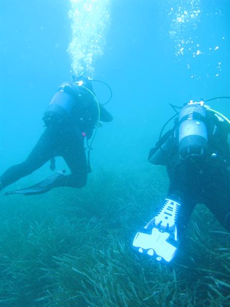 Two scuba divers swim over seagrass meadow, air bubbles rising