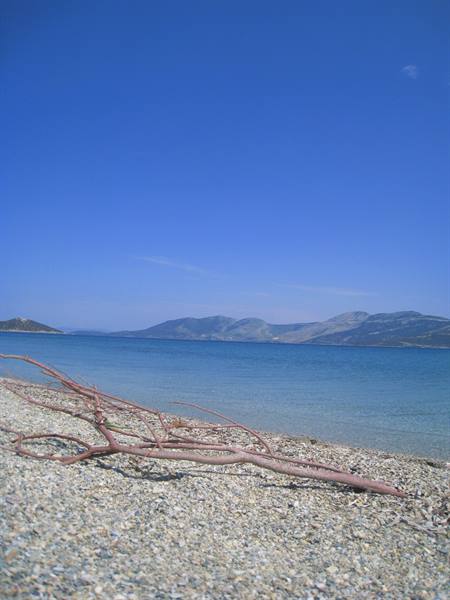 Weathered branch on pebble beach, turquoise water and mountains under clear blue sky