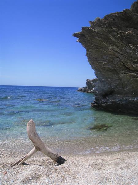 Driftwood trunk on pebble beach, layered rock cliff and turquoise sea