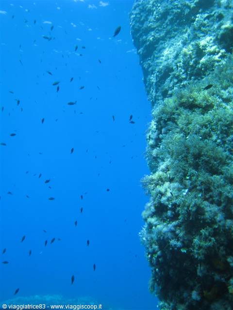 below 18 metres...