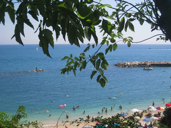 Swimmers in the blue bay, umbrellas on the beach, green leaves framing above