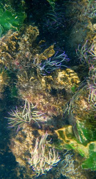 Underwater..