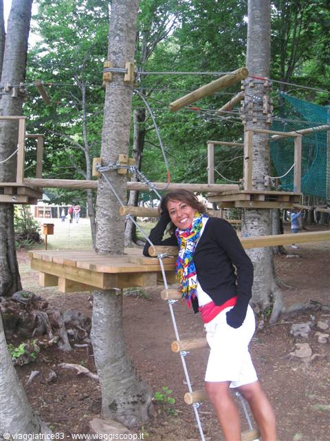 Smiling woman on rope ladder at treetop adventure park among wooden platforms