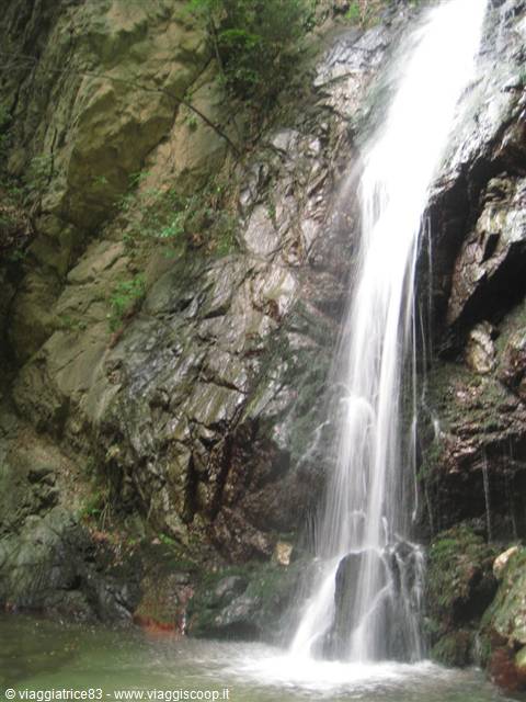 White waterfall flowing over mossy rocks in a wooded gorge
