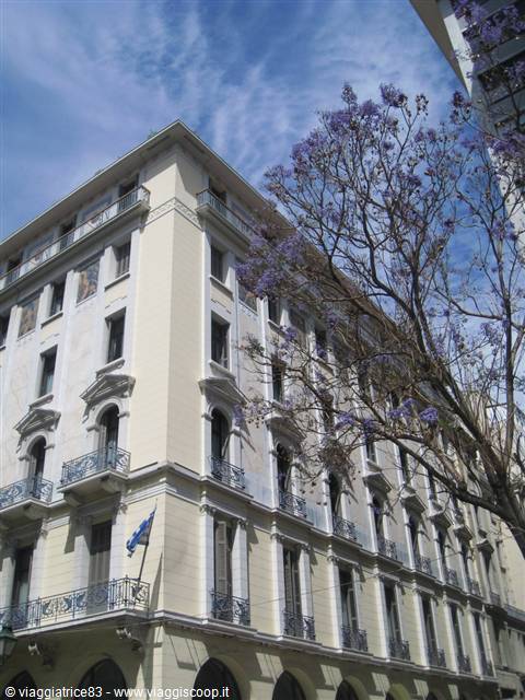 Neoclassical building with wrought-iron balconies and a blooming jacaranda tree