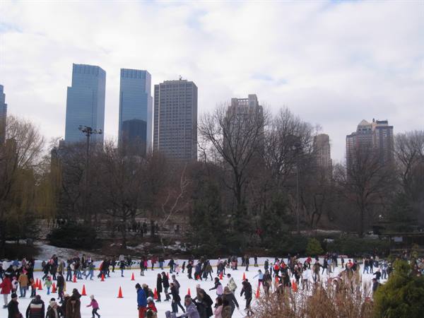 Wollman Rink Ice Skating against the backdrop of a breathtaking skyline