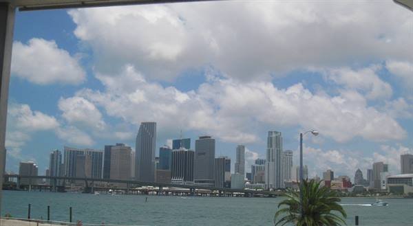 Miami skyscrapers across the bay, white clouds, palm tree and causeway bridge