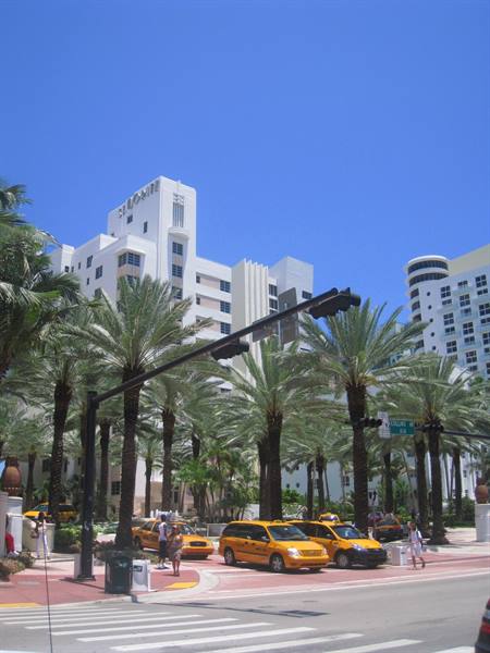Yellow taxis under palm trees in front of the Loews Hotel, Miami Beach