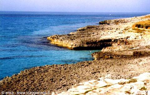 Layered limestone rocks slope into turquoise sea under intense sun