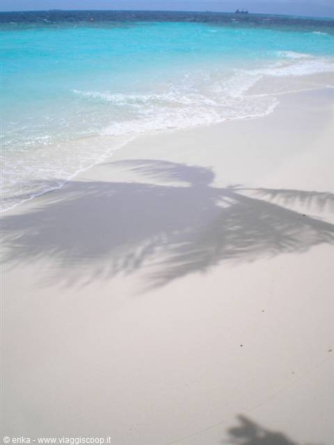 Palm shadow on white sand, turquoise waves wash over the beach, Maldives