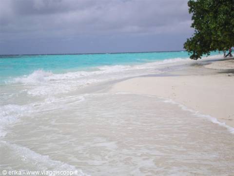 Foamy wave on white sand, turquoise lagoon and tree under cloudy sky