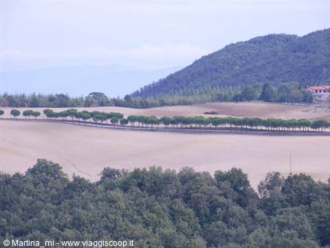 Row of trees between plowed fields and green woods, hazy hills beyond