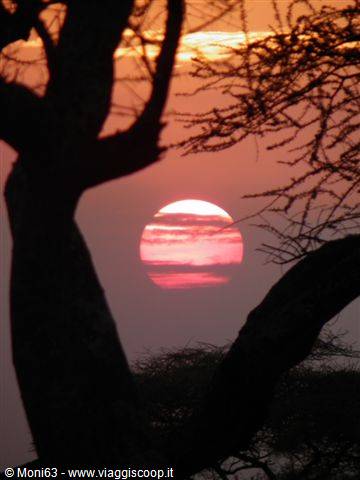 Sunset in the Serengeti