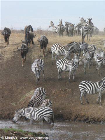 Ngorongoro Reserve
