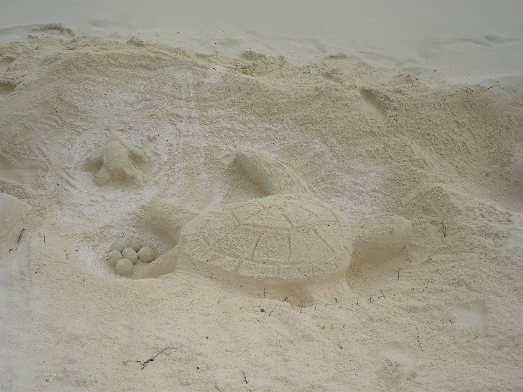 SCULPTURES ON THE SAND