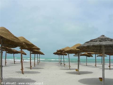 Straw beach umbrellas on sandy shore, cloudy sky, no swimmers