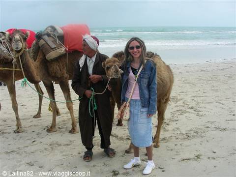 Woman with a camel handler and saddled dromedaries on the sandy beach