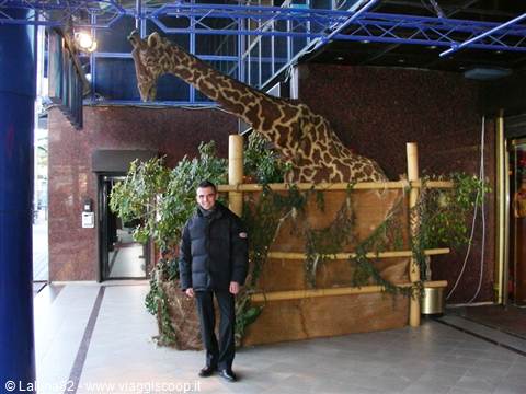 Man standing by a taxidermied giraffe among bamboo and plants in a lobby