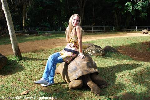 Woman sitting on a giant tortoise shell in a green park