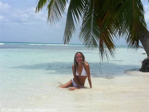 Woman in white bikini sitting in clear shallow water under a palm tree