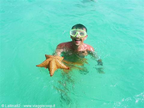 Boy with swim mask holding a starfish in turquoise water