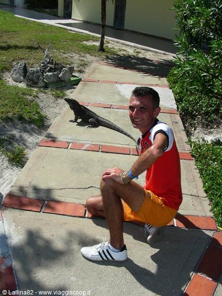 Man crouching next to an iguana on a brick and concrete path