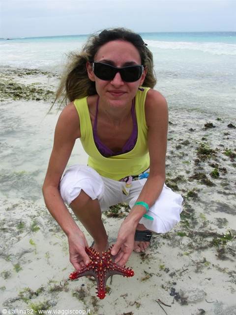 Woman crouching on white beach holding a red starfish