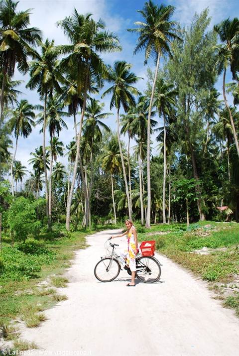 Woman on red bicycle on white sandy road among palm trees