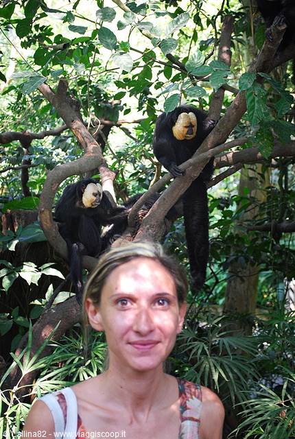 Smiling woman in front of two white-faced saki monkeys on branches