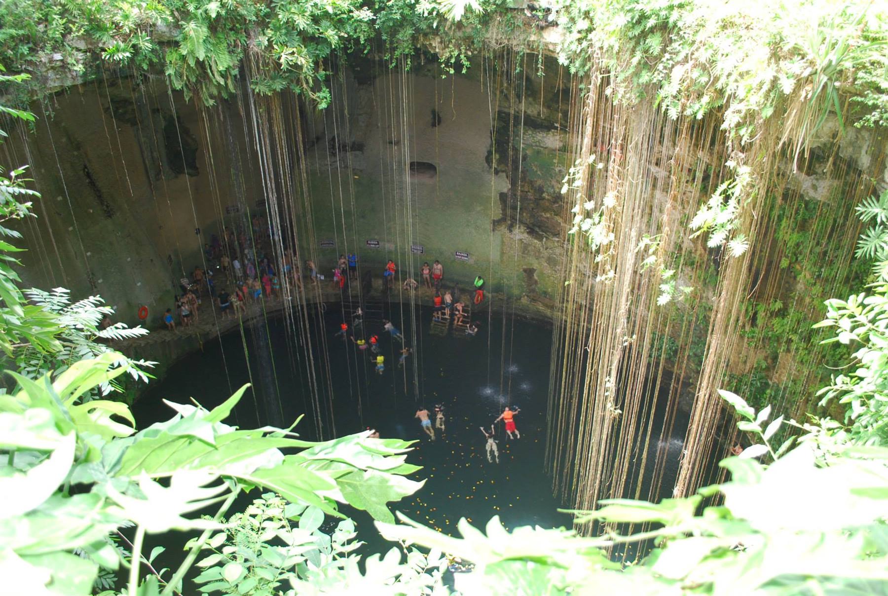 Turisti nuotano nel Cenote Ik Kil, circondato da radici e piante verdi