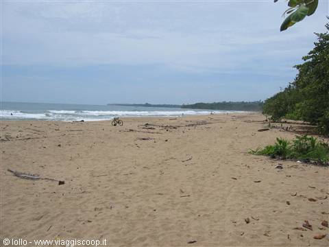 Bicycle on sandy beach with waves and tropical vegetation under cloudy sky