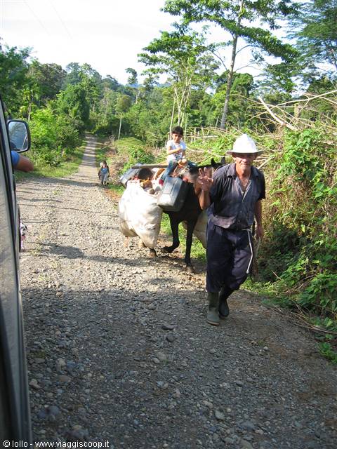 Man in hat waves on gravel road, child riding horse loaded with sacks