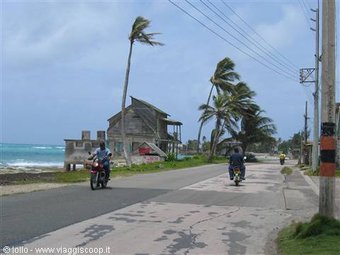 Motorbikes on coastal road, wooden houses and wind-bent palm trees