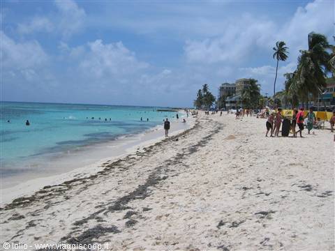 Tourists on white sand beach with seaweed, palm trees and turquoise sea