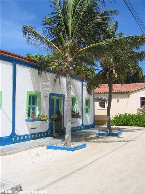 White house with blue and green doors and windows, coconut palms on sand