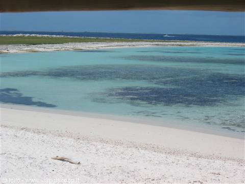 White sand and turquoise shallow water on a tropical beach with green vegetation