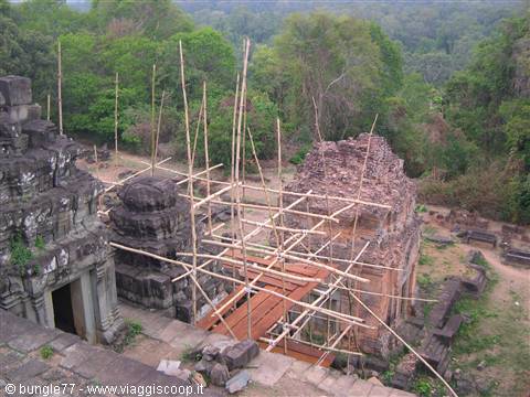 17 - Angkor - Phnom Bakheng - Bamboo