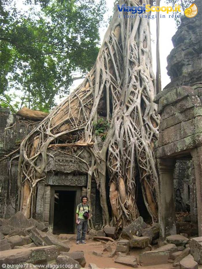 19 - Angkor - Ta Phrom - Gate