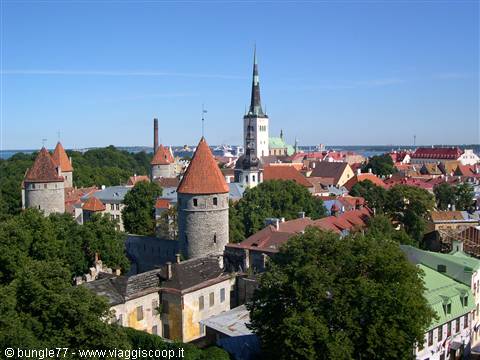 View from above
