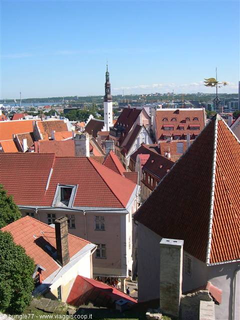 View from above 2