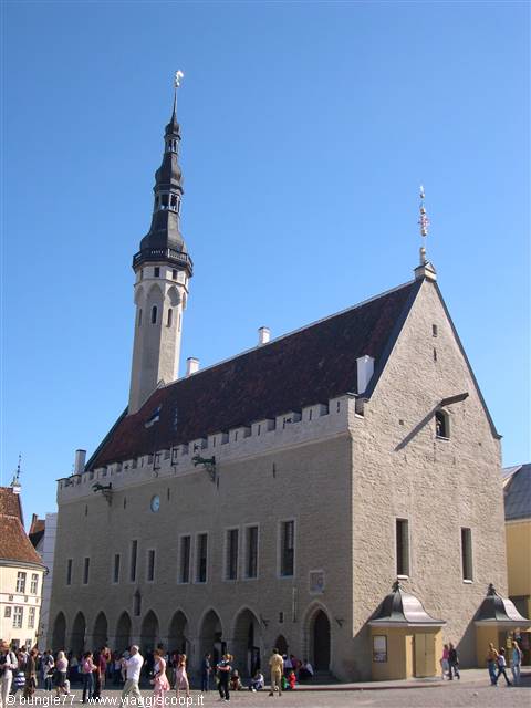 Tallinn's Gothic town hall, pale stone with tower and spire under blue sky