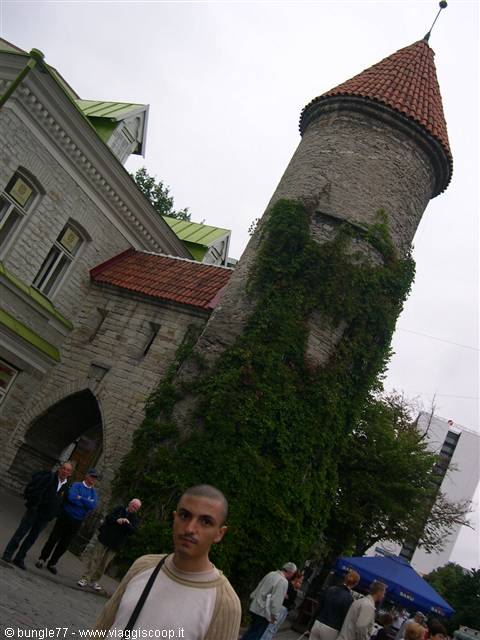 Tourists beneath the medieval ivy-covered stone tower in Tallinn