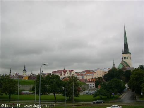 Tallinn: colorful houses under grey sky, St. Olaf's spire among trees