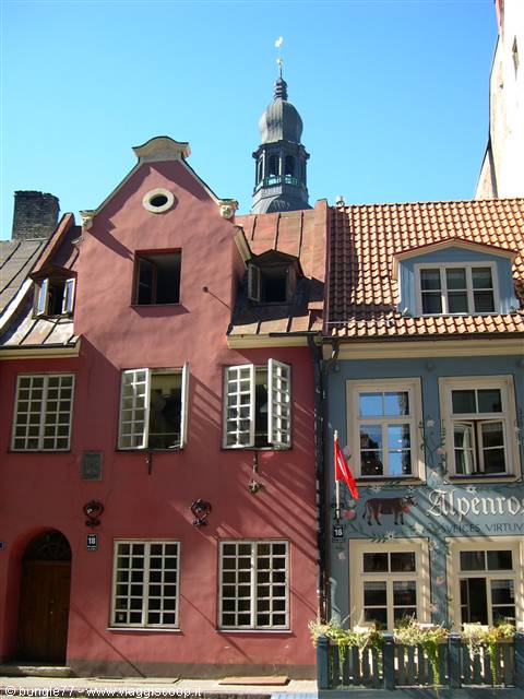 Houses on Ratslaukums square in Riga, beneath Saint Peter's spire