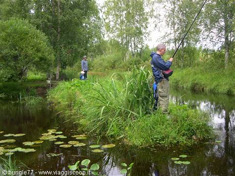 Two anglers fishing with rods among reeds and lily pads