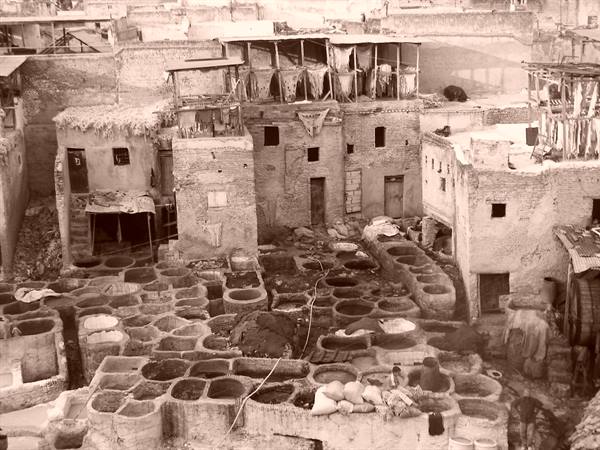 Fes tanneries: stone dyeing vats with hides and mud-brick houses under dry light