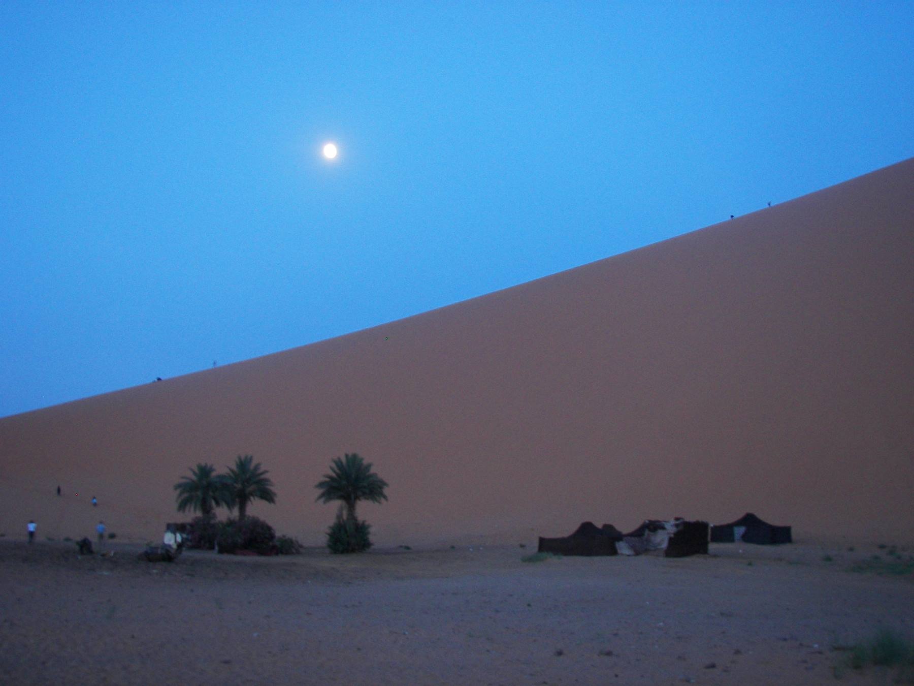 Full moon above the giant sand dune, palm trees and nomad tents